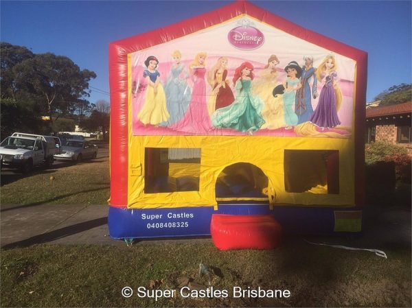 Disney Princess Medium Banner Castles