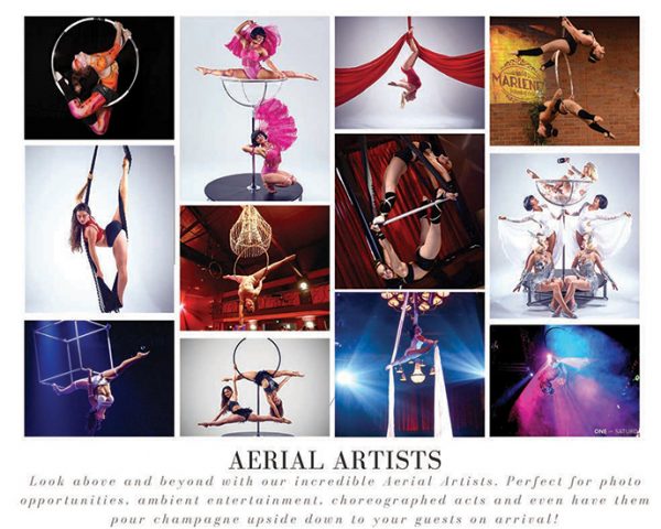 Aerial Artists